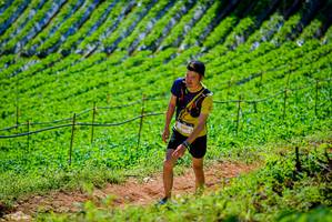 BIB: 3397
                            <button type="button" onclick="openModal(19163737)" class="btn btn-primary btn-sm float-right btn-popup" data-toggle="modal" data-target=".modal-high-quality">
                        <i class="fas fa-shopping-cart"></i> Add to Cart
                    </button>
                                            <button type="button" onclick="isThisMe(19163737, true)" class="btn btn-success btn-sm float-right btn-popup btn-isme hidden" data-toggle="tooltip" data-placement="bottom" title="นี่คือรูปของคุณใช่ไหม คลิกที่นี่เพื่อเอาเข้าอัลบั้ม">
                        <i class="fas fa-plus"></i> Add to album
                    </button>
                    <button type="button" onclick="isThisMe(19163737, false)" class="btn btn-warning btn-sm float-right btn-popup btn-isnotme hidden">
                        <i class="fas fa-ban"></i> Remove from album
                    </button>